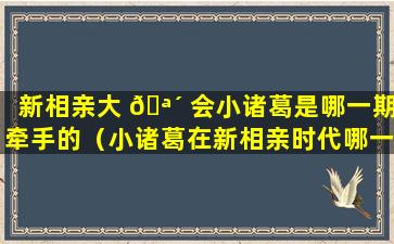 新相亲大 🪴 会小诸葛是哪一期牵手的（小诸葛在新相亲时代哪一 🌵 期）